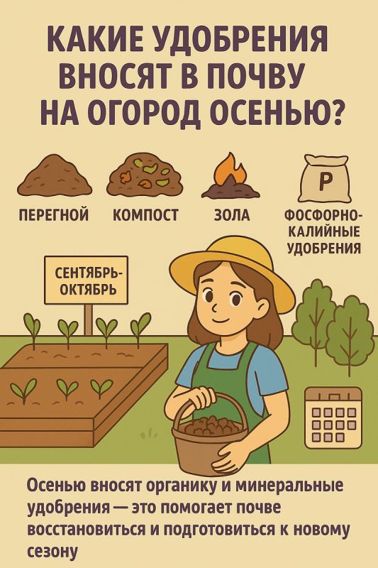   :      