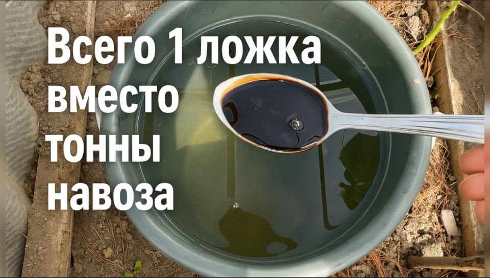     :      