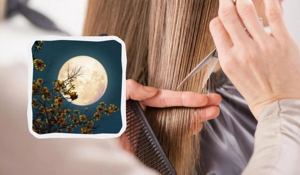      2025:      