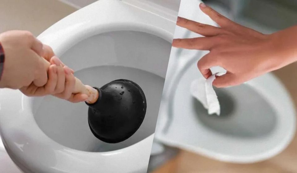  ,       : 6   5 