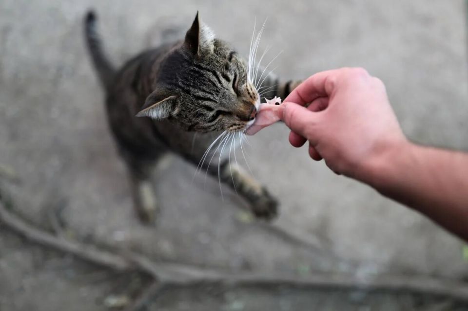      :  