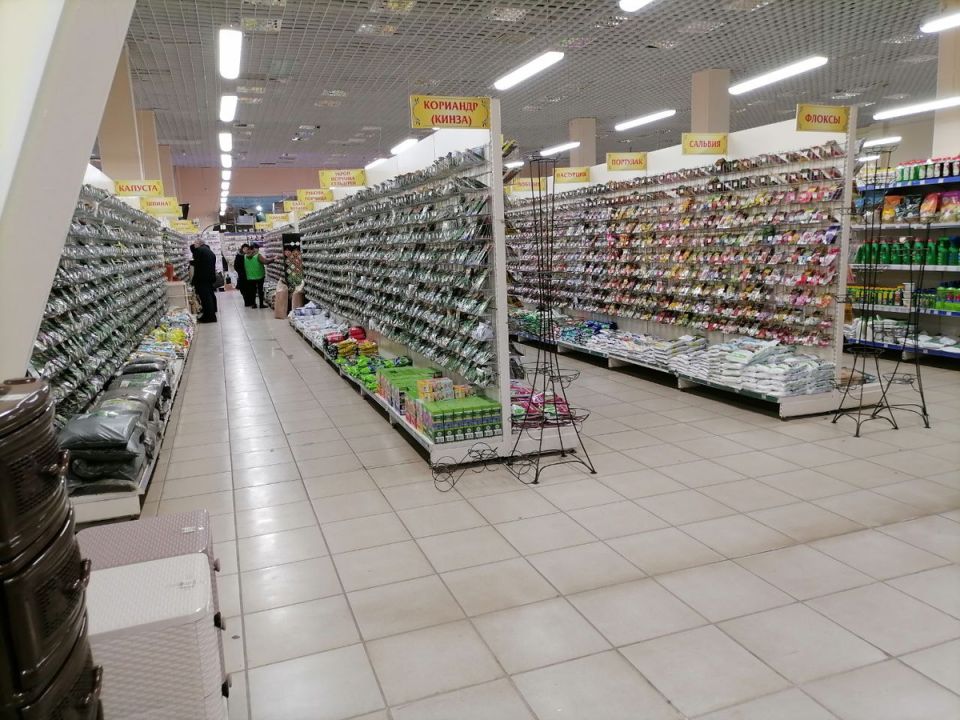 Секреты успешного посева семян: стоит ли готовить их заранее?