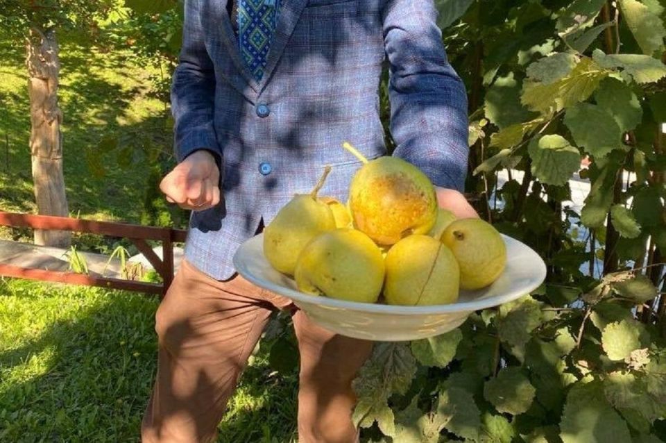 Груши в ежедневном рационе: как этот фрукт может изменить вашу жизнь