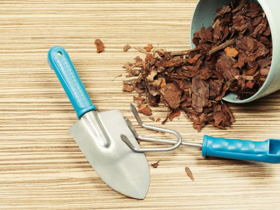 Мульчирование цветников: как природные материалы преображают ваш сад