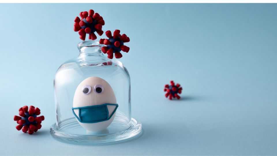 Что делать, если вас оклеветали: советы по правозащите