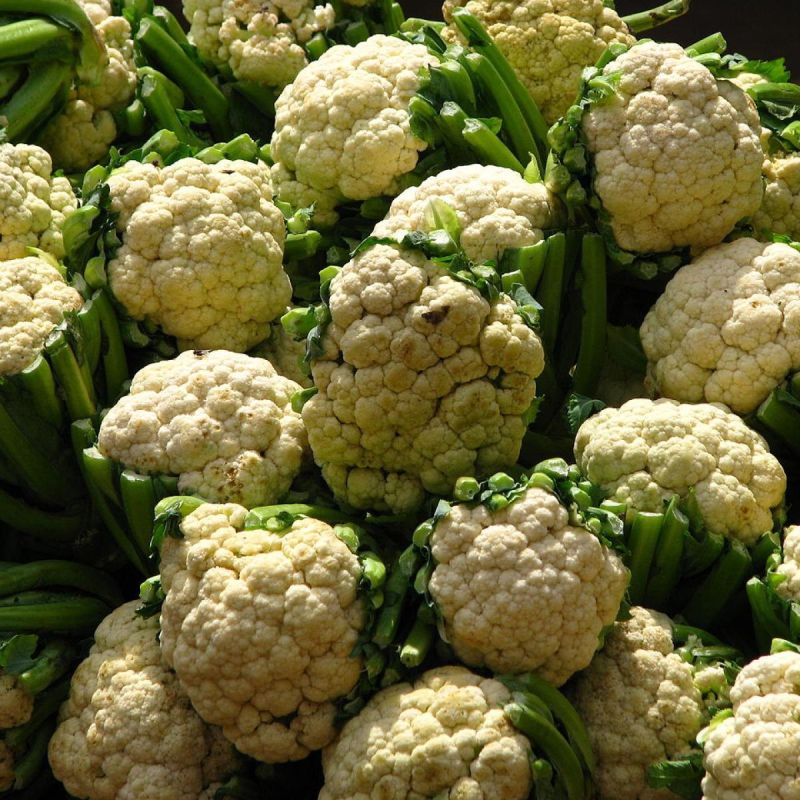 Как предотвратить почернение цветной капусты: советы для садоводов