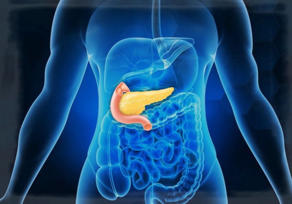 Синдром усталой поджелудочной: как поддержать здоровье пищеварительной системы