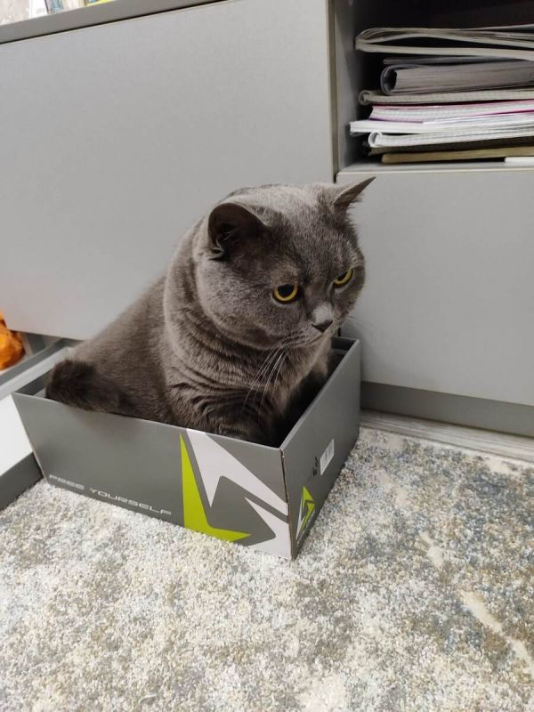 Пенсия — это миф или реальность?