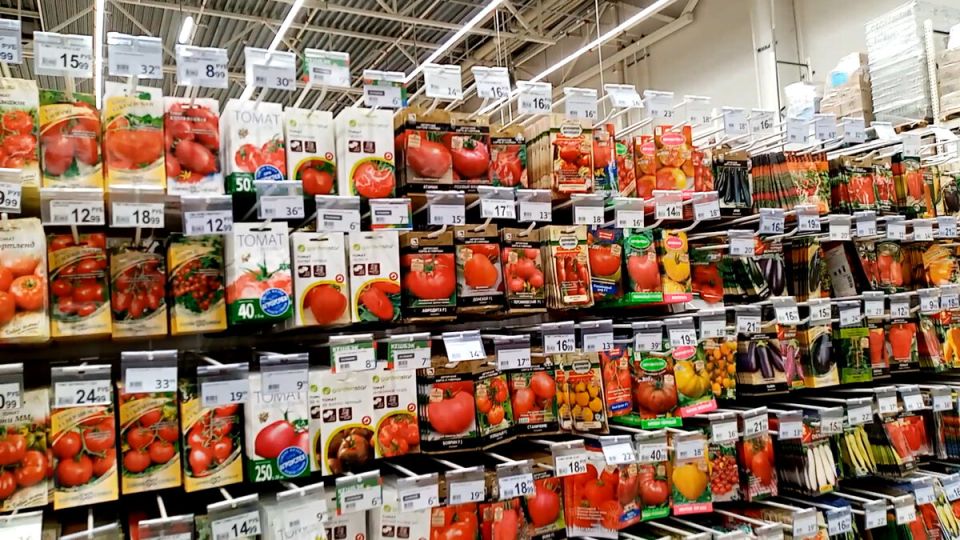 Ноябрь: идеальное время для закупки семян и садового инвентаря в Н. Новгороде