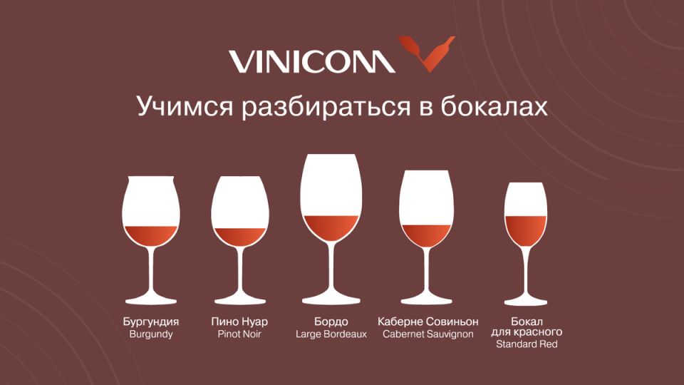 Совершенствуем винные впечатления: как выбрать идеальный бокал для дегустации