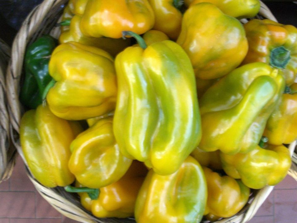 Как вырастить идеальный красный перец: секреты успешного садоводства