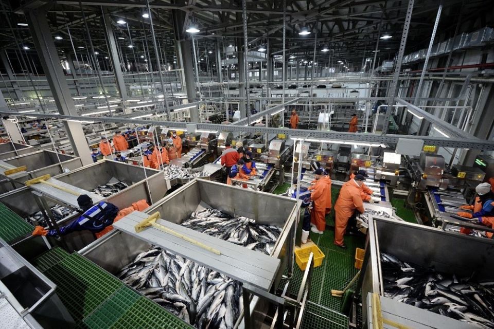 Создание единого преференциального режима на Дальнем Востоке и в Арктике: новые горизонты для бизнеса