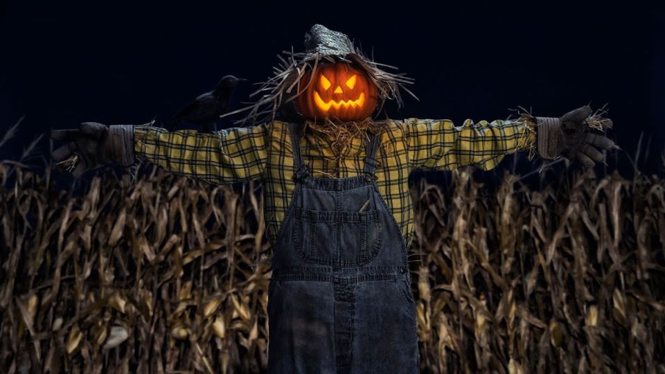 Как дачник разыграл вора и защитил свой урожай