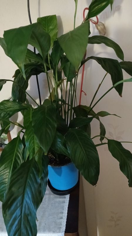 Время перемен: как справиться с осенней хандрой и тревогой в 2025 году