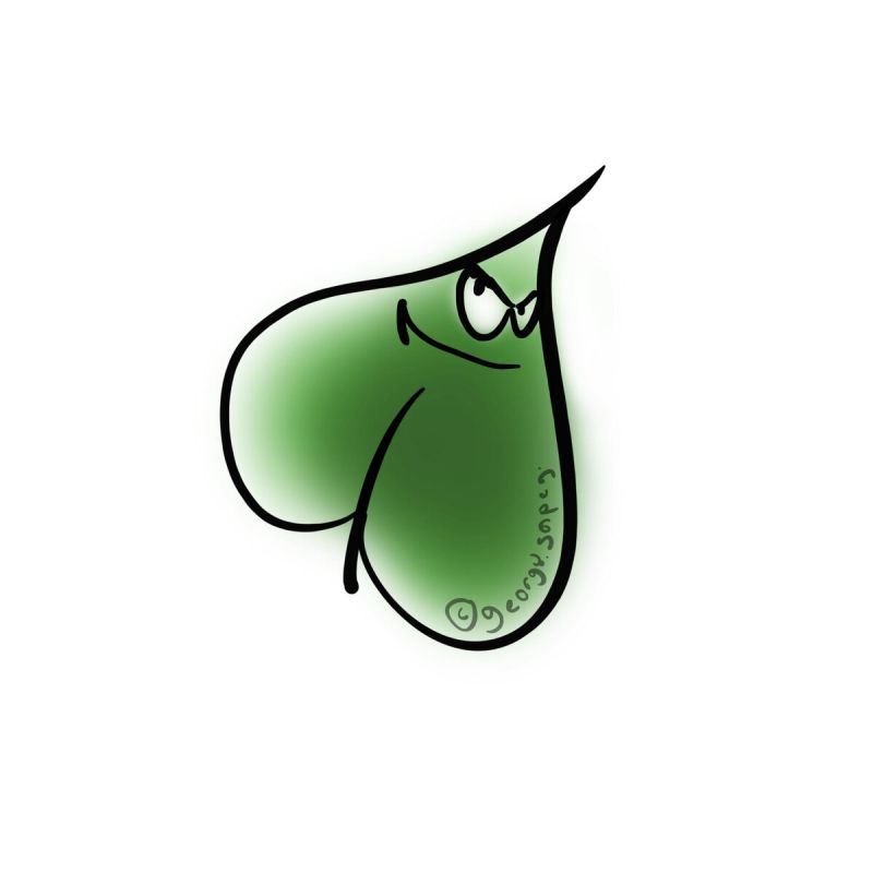 Безопасная зелень: как правильно мыть овощи и не навредить здоровью