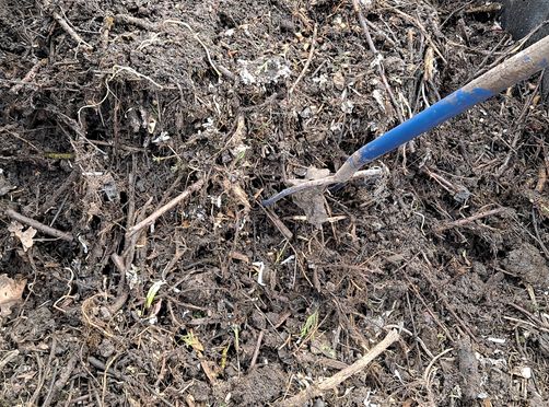 Как за один месяц превратить осенние отходы в питательный компост