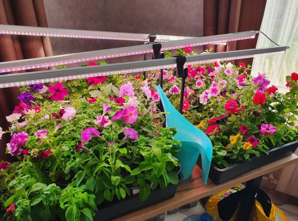 Умная экономия: как неожиданно сэкономить на покупках в маркетплейсах