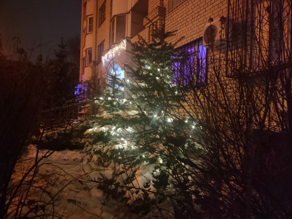 Как подготовиться к новогодним праздникам: меню на три дня в декабре