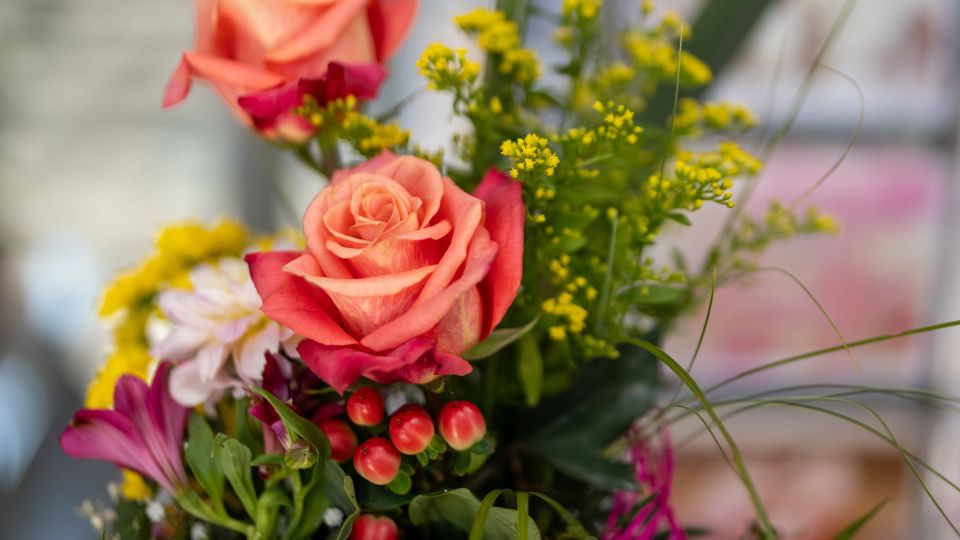 ����� �� ���� ������ ����� �������� �������: ��� ��� �������� ��� ������ �������