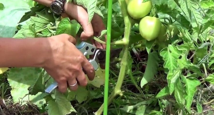 ����� ������������� �������� ������ � ����?