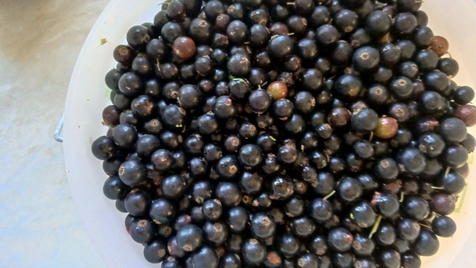 ������� ���������� ������ ���������: ���� ����� � �������?