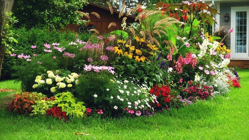 ������� ��� �����: ��������, ������� �� ������� �����