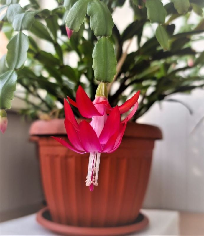 ������� ����� �� �����������: ��� ��������� �� ����� � ������