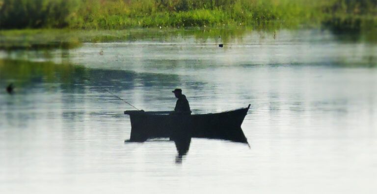 �� ������� �������� �����, ���������� ����� 160 ��������� ������