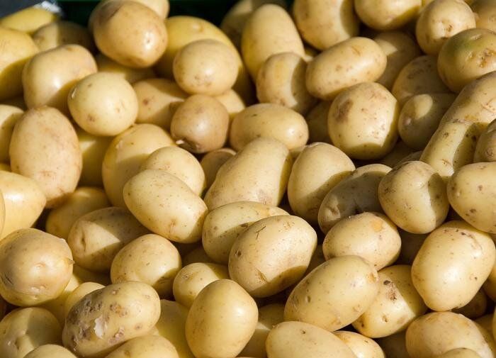 Невероятный метод, который гарантирует максимальный урожай картофеля используя только 2/3 ведра семян