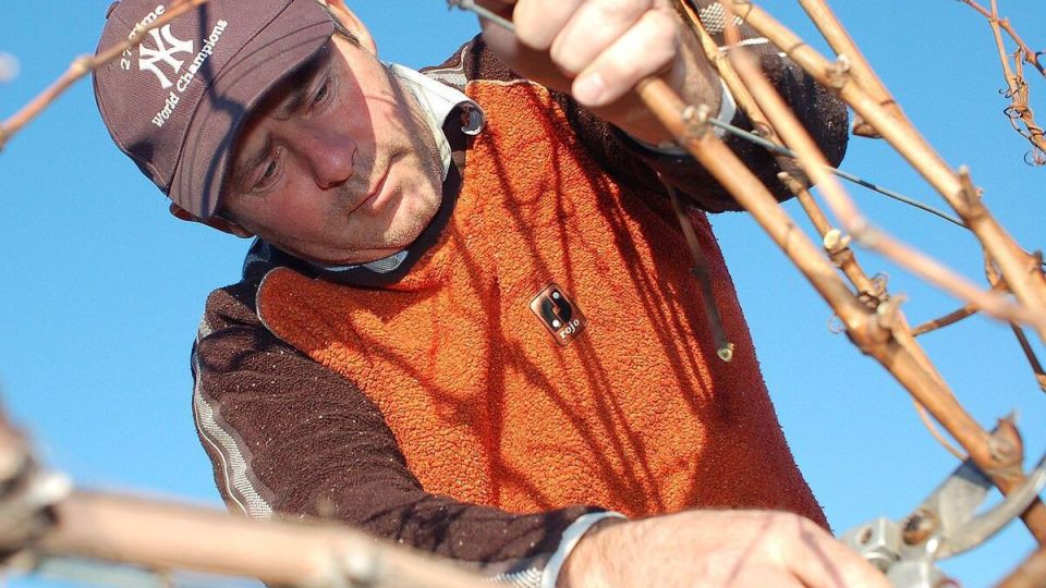 ����� ������ �������� ��������: ������ ��� ��������� ������