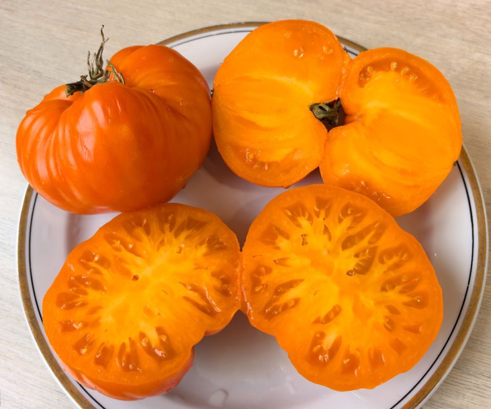 Как вырастить сахарные помидоры: секреты успешного урожая