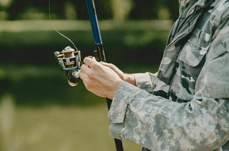 ������ ������� ��������� ���������� �������� �� �������