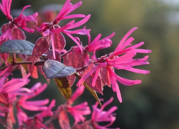 �����������: �������, ������� ����� �������� � ������ ���