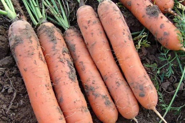 �������� ������� ��� ��������� ��������