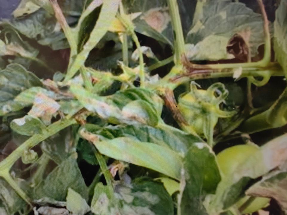 ���������� �������: ������ ������ � ���������������� �������� ��������