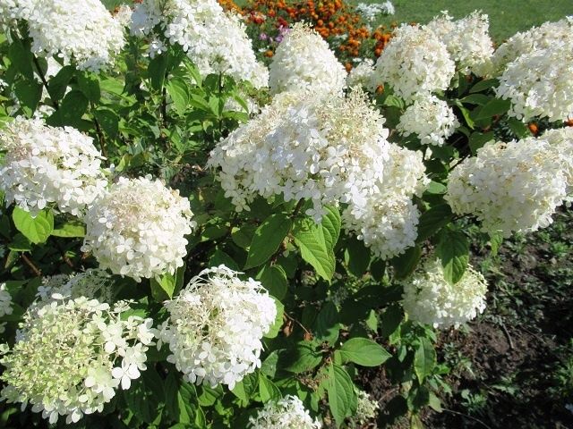 �������� ������� ��� ������ ���������: ��� �������� ������������� ��������