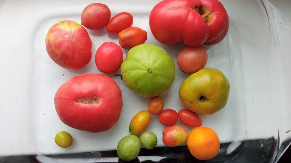 ��� ��������� ���� ��������� �� ����: ������� ���������� ��� �������