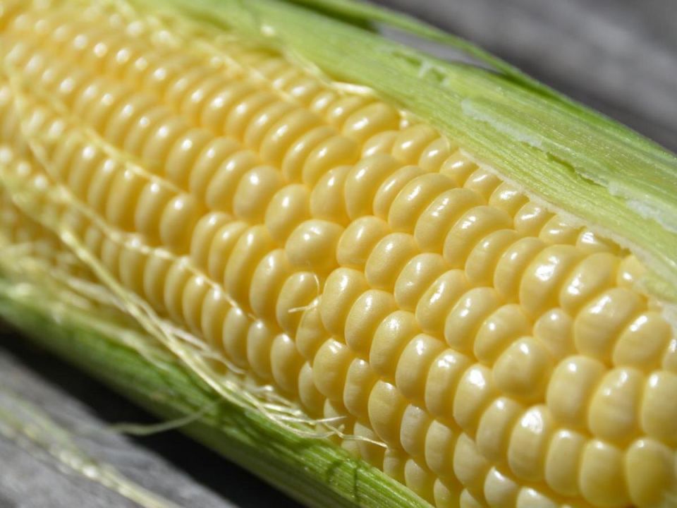 ��� ��������� ��������, ������� ������ ������� � ������� ������� � �����