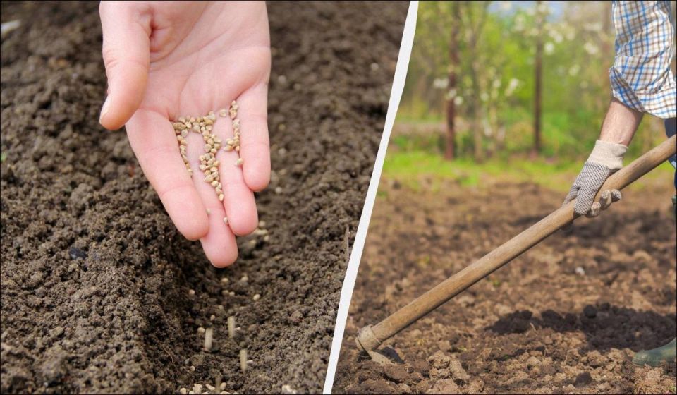 ��� ����� �������� ��� ����, ����� �������: 10 ������ ��������� ��� �������