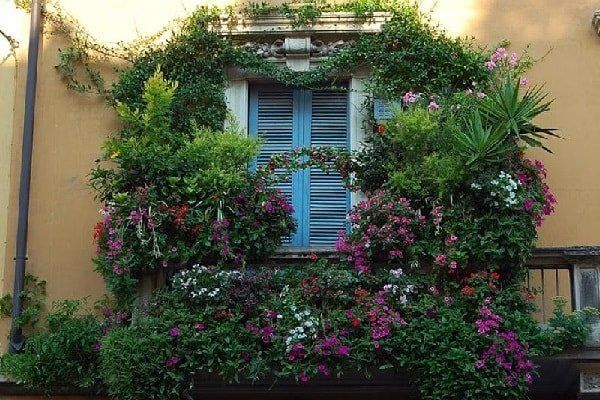 ��������� ��� �� �������: ��� ������� ��������� ������������ ��� ������