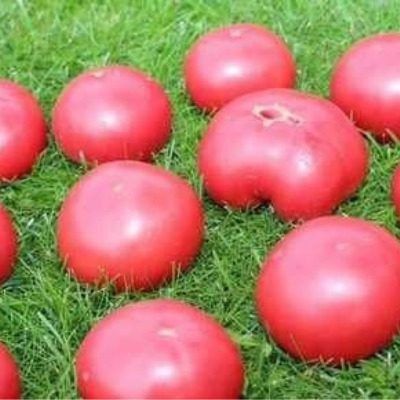 ����� �����: ��� �������� ��������� ������ � ����������� ������