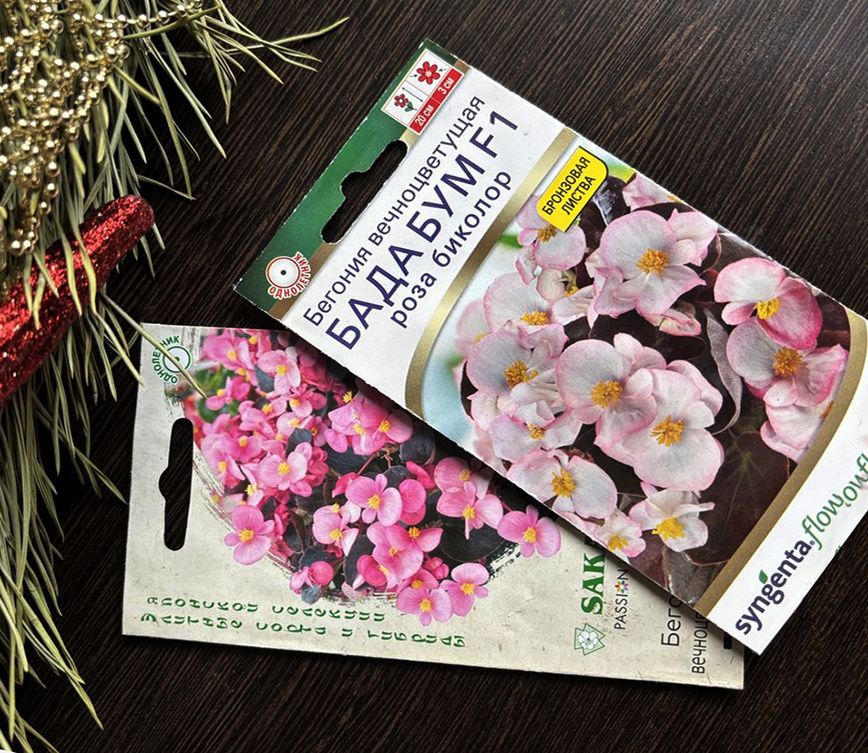 Почему бегония уже в растении?