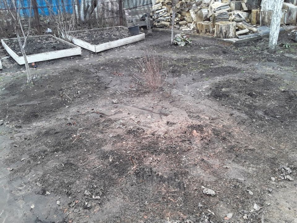 Возрождение круглой клумбы: от смятения до цветения