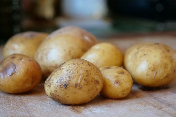 ��� �������� ��������� �������� �������� ���������������