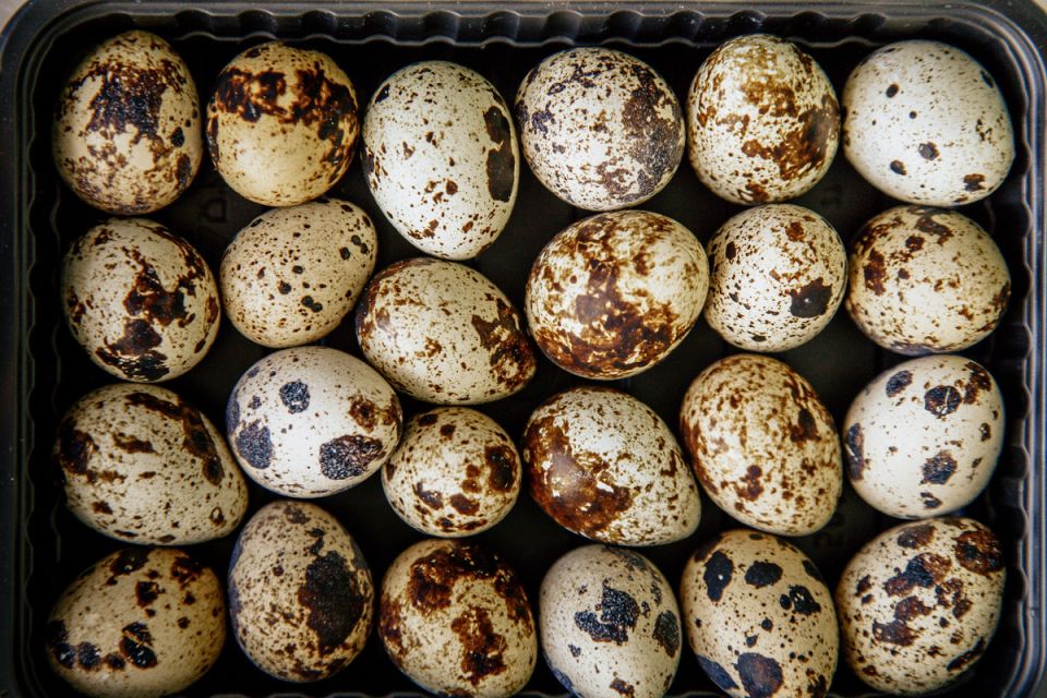 ���������� ���-����: ��������, ������� ����� ������� ���� ������