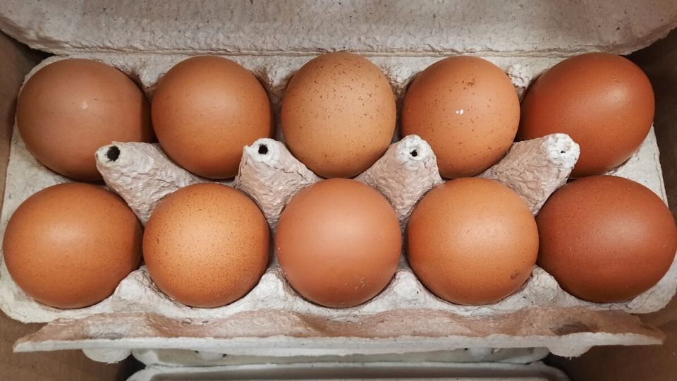 Почему стоит обратить внимание на категории яиц, которые мы покупаем