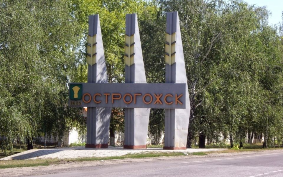 В Воронежской области зафиксировали 15-й в 2025 году и первый в текущем месяце случай заражения бешенством