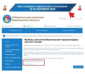 В помощь кандидатам и избирательным объединениям, принимающим участие в выборах депутатов Воронежской городской Думы!