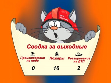 Оперативная сводка за прошедшие выходные