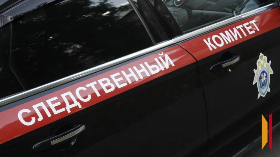 Председатель СК России Александр Бастрыкин взял на контроль расследование дела о незаконной деятельности рынка в Воронеже